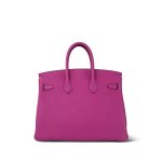 Birkin 25 Magnolia Veau Togo Palladium Plated C Stamp - Image 9
