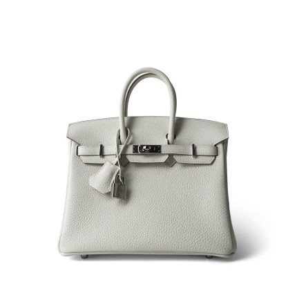 Birkin 25 Mushroom Togo Palladium Plated B Stamp