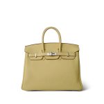 Birkin 25 Jaune Poussin Togo Palladium Plated Z Stamp - Image 2