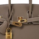 Birkin 25 Etoupe Veau Togo Gold Plated B Stamp - Image 8