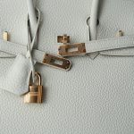 Birkin 25 Mushroom Veau Togo Gold Plated B Stamp - Image 13