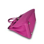 Birkin 25 Magnolia Veau Togo Palladium Plated C Stamp - Image 4