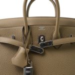 Birkin 25 Beige Marfa Togo Palladium Plated W Stamp - Image 6