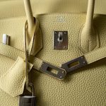 Birkin 25 Jaune Poussin Togo Palladium Plated Z Stamp - Image 5