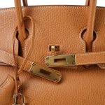 Birkin 35 Fjord Natural Sable Gold Plated B Square Stamp - Image 9