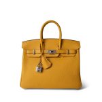 Birkin 25 Jaune Ambre Togo Palladium Plated Z Stamp