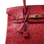Birkin 30 Rouge Vif Ostrich Gold Plated X Stamp - Image 3