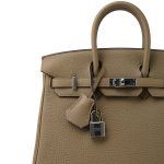 Birkin 25 Beige Marfa Togo Palladium Plated W Stamp - Image 2