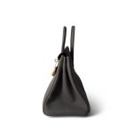 Birkin 25 Gris Meyer Togo Gold Plated W Stamp - Image 2