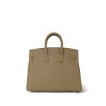 Birkin 25 Beige Marfa Togo Palladium Plated W Stamp - Image 7