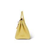 Birkin 25 Jaune Poussin Togo Gold Plated Z Stamp - Image 7