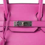 Birkin 30 Magnolia Veau Taurillon Novillo Palladium Plated C Stamp - Image 7