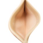 Beige Clair Caviar Quilted Classic Card Holder SHW - Image 8
