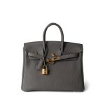 Birkin 25 Etain Togo Gold Plated Y Stamp - Image 9