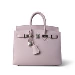Birkin 25 Sellier Mauve Pale Epsom Palladium Plated U Stamp - Image 4