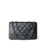Charcoal 20A Mademoiselle Caviar Quilted Wallet on Chain (WOC) - Image 13
