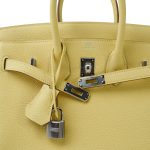 Birkin 25 Jaune Poussin Togo Palladium Plated W Stamp - Image 16