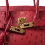 Birkin 30 Rouge Vif Ostrich Gold Plated X Stamp - Image 9