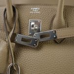 Birkin 25 Beige Marfa Veau Togo Palladium Plated W Stamp - Image 7