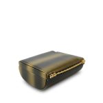 Gold/Black/Bronze Ombré Calfskin Vanity Case - Image 7