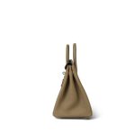 Birkin 25 Beige Marfa Togo Palladium Plated W Stamp - Image 8