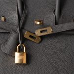 Birkin 25 Etain Togo Gold Plated Y Stamp - Image 14