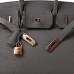 Birkin 30 Etain Veau Togo Rose Gold Plated D Stamp - Image 16