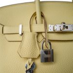 Birkin 25 Jaune Poussin Togo Palladium Plated Z Stamp - Image 4
