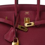 Birkin 25 Rouge Grenat Togo Gold Plated X Stamp - Image 6