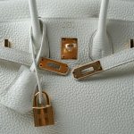 Birkin 25 Mushroom Veau Togo Gold Plated B Stamp - Image 17
