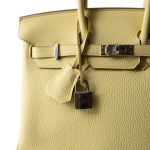 Birkin 25 Jaune Poussin Togo Palladium Plated Z Stamp - Image 2