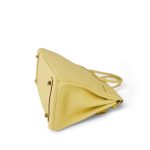 Birkin 25 Jaune Poussin Togo Gold Plated Z Stamp - Image 13