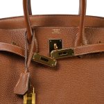 Birkin 30 Gold Togo Gold Plated A Stamp - Image 9