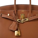 Birkin 25 Gold Veau Togo Gold Plated Y Stamp - Image 8