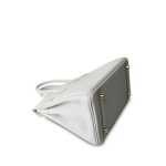 Birkin 25 Gris Pale Togo Gold Plated B Stamp - Image 16