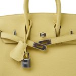 Birkin 25 Jaune Poussin Togo Palladium Plated W Stamp - Image 17