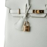 Birkin 25 Mushroom Veau Togo Gold Plated B Stamp - Image 15