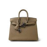 Birkin 25 Beige Marfa Togo Palladium Plated W Stamp - Image 5
