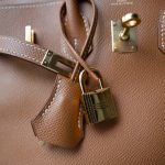 Birkin 25 Gold Veau Epsom Gold Plated [M] Stamp - Image 12