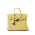 Birkin 25 Jaune Poussin Togo Palladium Plated W Stamp - Image 15