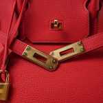 Birkin 30 Rouge de Coeur Veau Togo Gold Plated D Stamp - Image 14