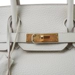 Birkin 30 Craie Veau Togo Gold Plated Y Stamp - Image 3