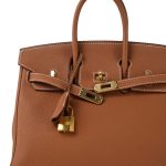 Birkin 25 Gold Veau Togo Gold Plated Y Stamp - Image 5