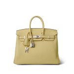Birkin 25 Jaune Poussin Togo Palladium Plated Z Stamp