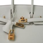 Birkin 25 Gris Perle Togo Gold Plated B Stamp - Image 9