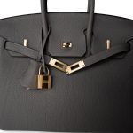 Birkin 25 Gris Meyer Togo Gold Plated W Stamp - Image 13