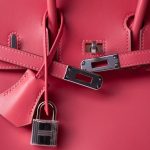 Birkin 25 Rose Lipstick Tadelakt Palladium Plated [R] Stamp - Image 5