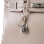 Birkin 30 Argyle Tadelakt Guilloche Palladium Plated R Square Stamp - Image 3