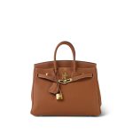 Birkin 25 Gold Veau Togo Gold Plated Y Stamp - Image 4