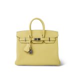 Birkin 25 Jaune Poussin Togo Palladium Plated W Stamp